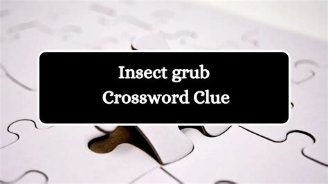 bugs crossword clue|bug crossword clue 5 letters.